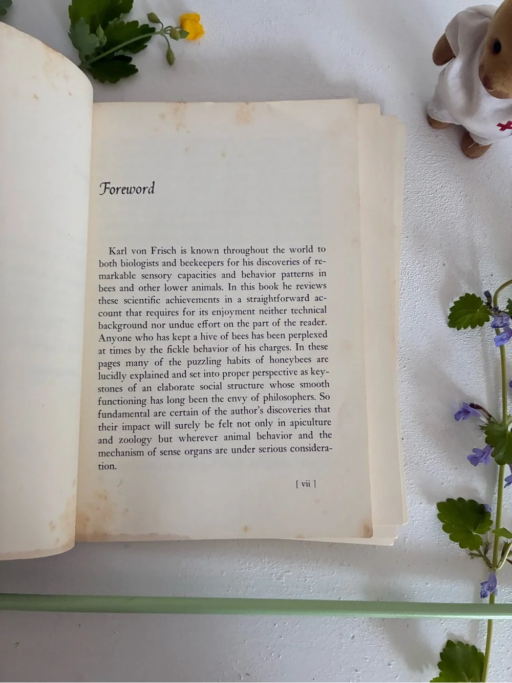 Bees by Karl von Frisch Vintage Paperback - 1971